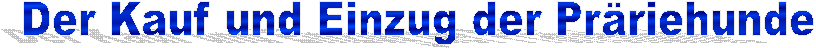 Der Kauf und Einzug der Pr�riehunde