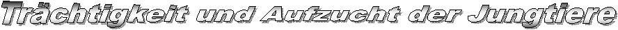 Tr�chtigkeit und Aufzucht der Jungtiere